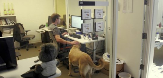 56d01932c461885f158b45ee-620×414